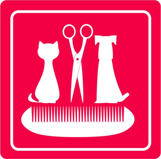 peluquería canina